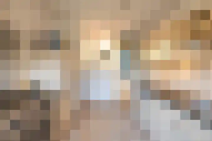 Wilkemaheerd 67 Groningen thumbnail 12