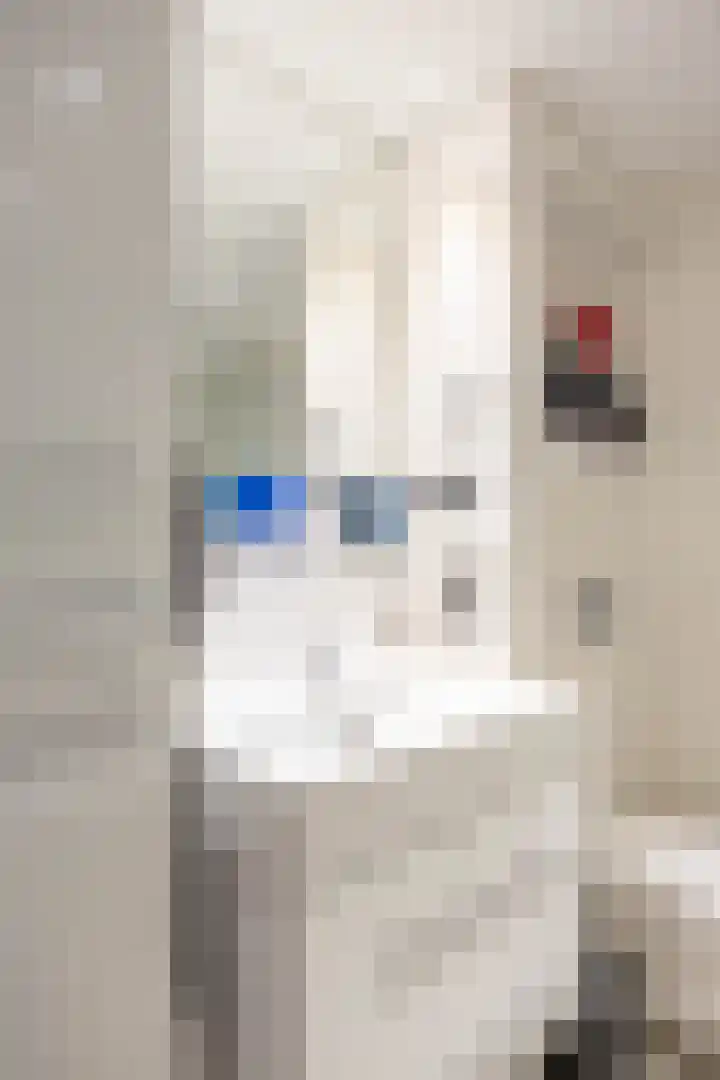 Wilkemaheerd 67 Groningen thumbnail 36