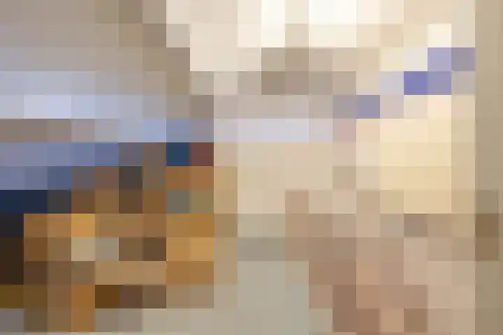 Wilkemaheerd 67 Groningen thumbnail 38