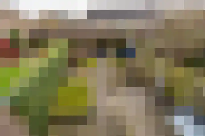 Wilkemaheerd 67 Groningen thumbnail 43