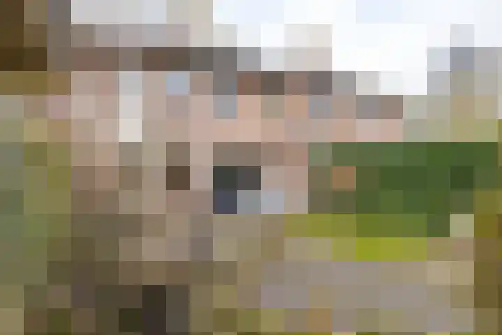 Wilkemaheerd 67 Groningen thumbnail 44