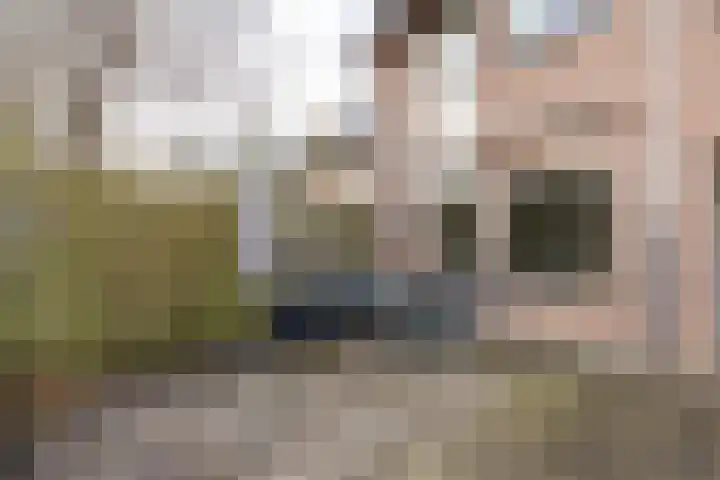 Wilkemaheerd 67 Groningen thumbnail 46