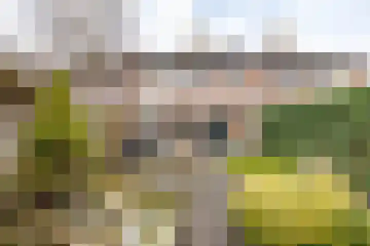 Wilkemaheerd 67 Groningen thumbnail 47