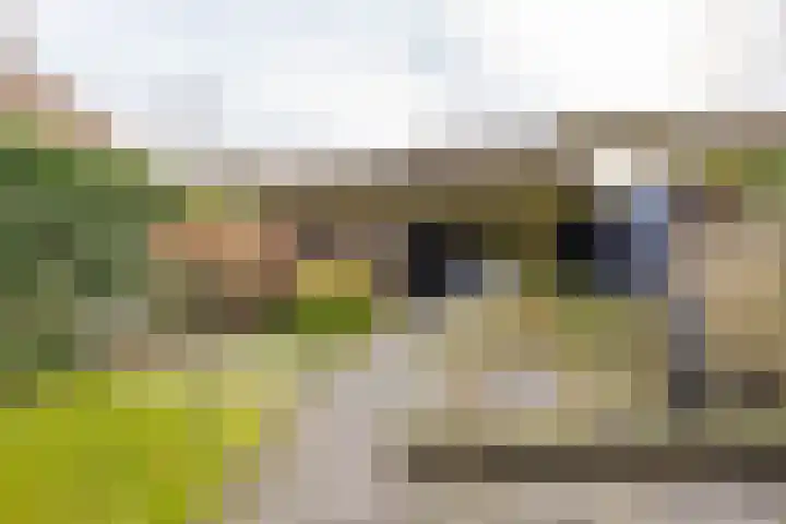 Wilkemaheerd 67 Groningen thumbnail 48