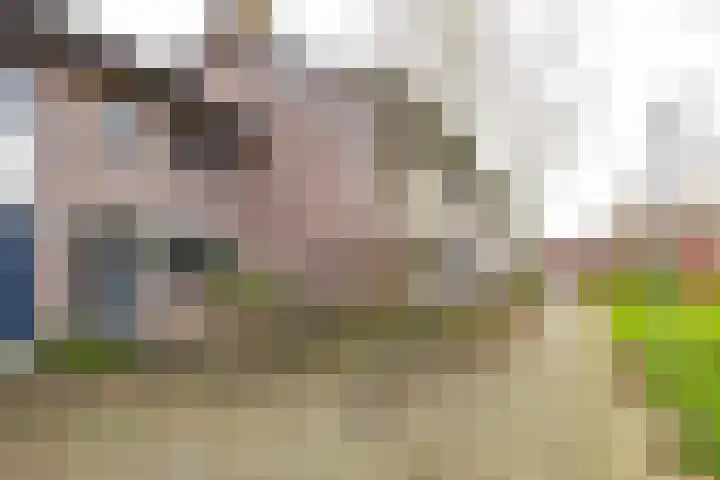 Wilkemaheerd 67 Groningen thumbnail 54