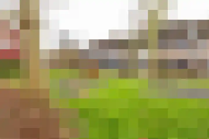 Wilkemaheerd 67 Groningen thumbnail 55
