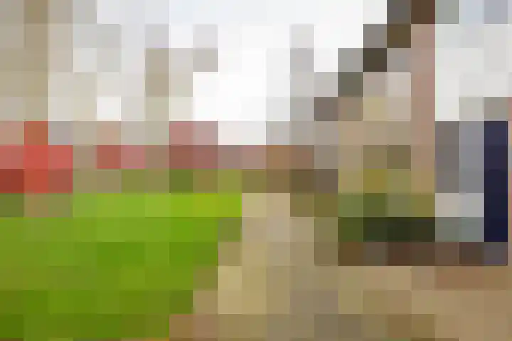 Wilkemaheerd 67 Groningen thumbnail 56