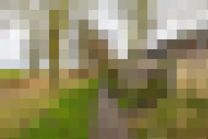 Wilkemaheerd 67 Groningen thumbnail 58