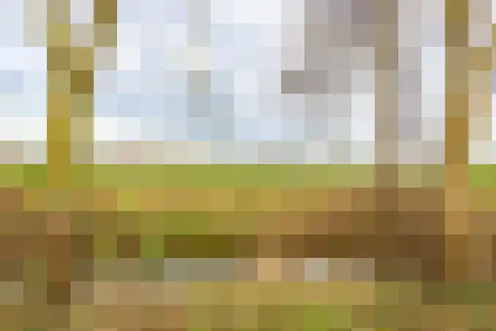 Wilkemaheerd 67 Groningen thumbnail 60