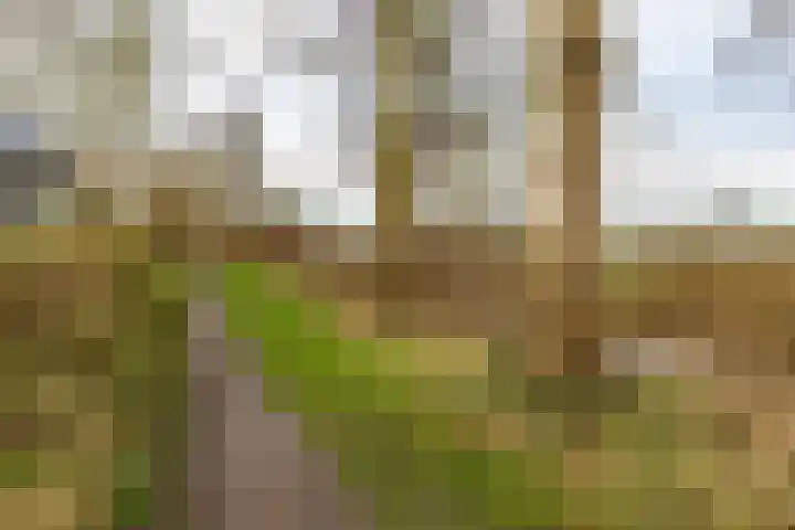 Wilkemaheerd 67 Groningen thumbnail 61