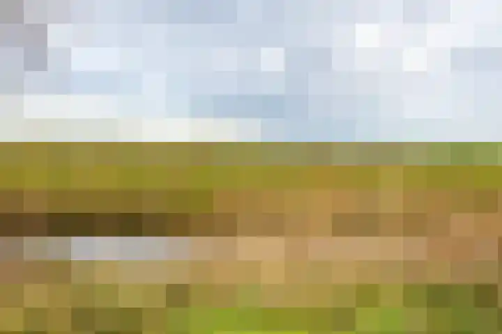 Wilkemaheerd 67 Groningen thumbnail 62