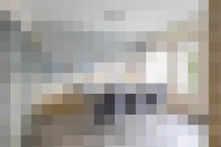 Wilkemaheerd 67 Groningen thumbnail 7