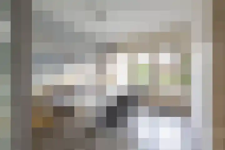 Wilkemaheerd 67 Groningen thumbnail 8