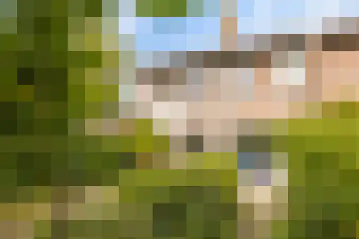 Wilkemaheerd 70 Groningen thumbnail 25