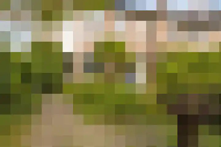 Wilkemaheerd 70 Groningen thumbnail 26