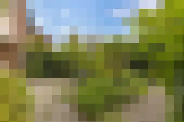 Wilkemaheerd 70 Groningen thumbnail 27