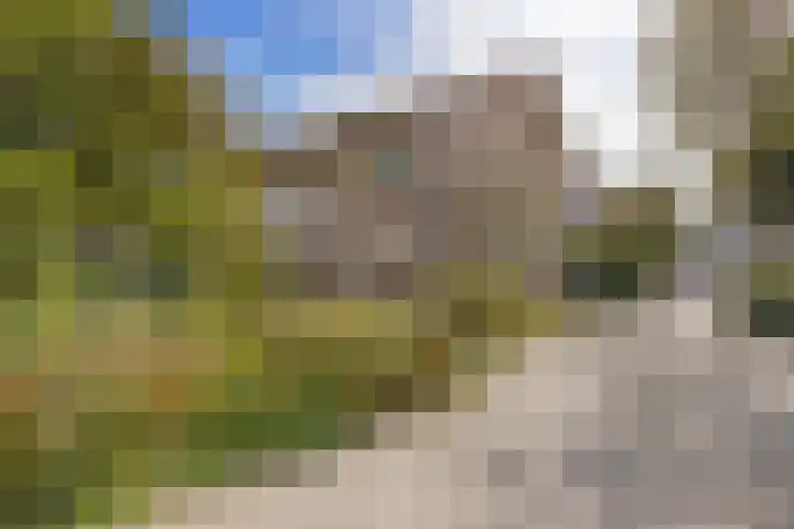 Wilkemaheerd 70 Groningen thumbnail 30
