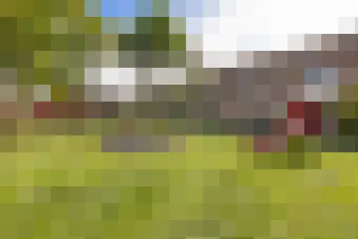 Wilkemaheerd 70 Groningen thumbnail 31