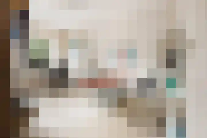 Wilkemaheerd 70 Groningen thumbnail 6