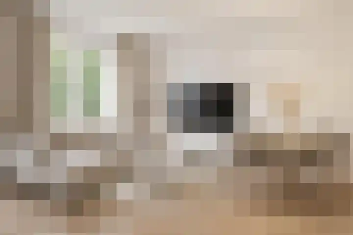 Wilkemaheerd 70 Groningen thumbnail 7