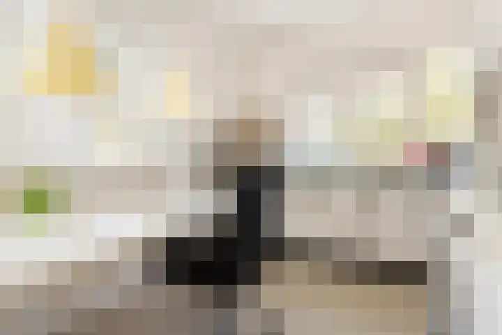 Wilkemaheerd 70 Groningen thumbnail 8