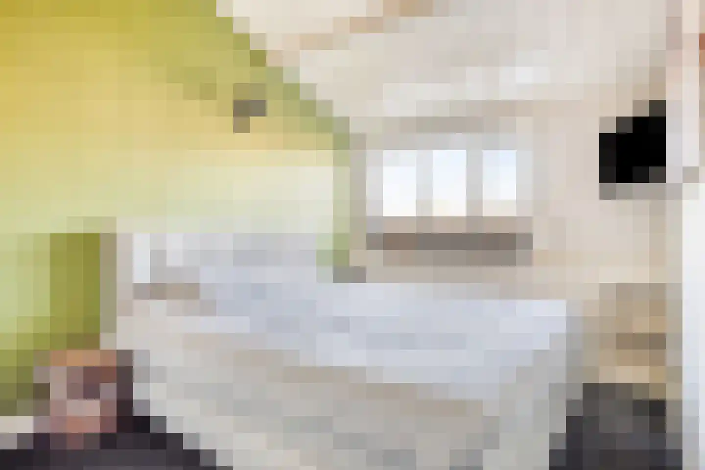 Willaerlaan 52 Scherpenzeel thumbnail 19