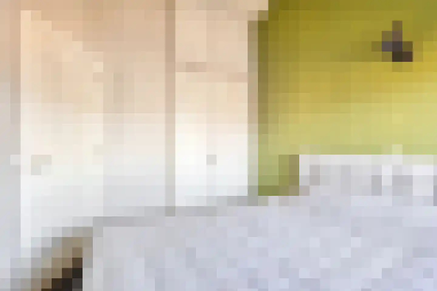 Willaerlaan 52 Scherpenzeel thumbnail 20