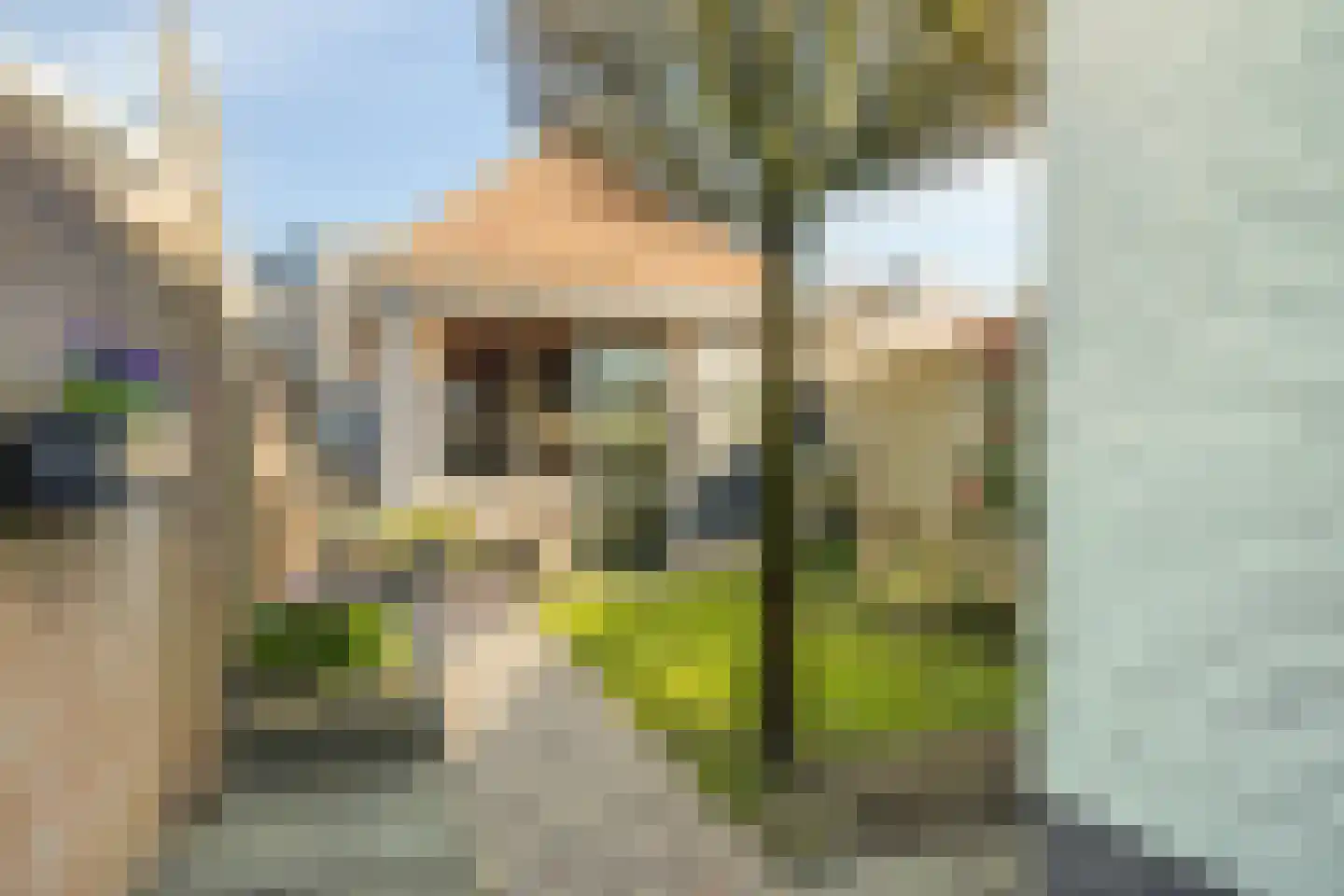 Willaerlaan 52 Scherpenzeel thumbnail 25