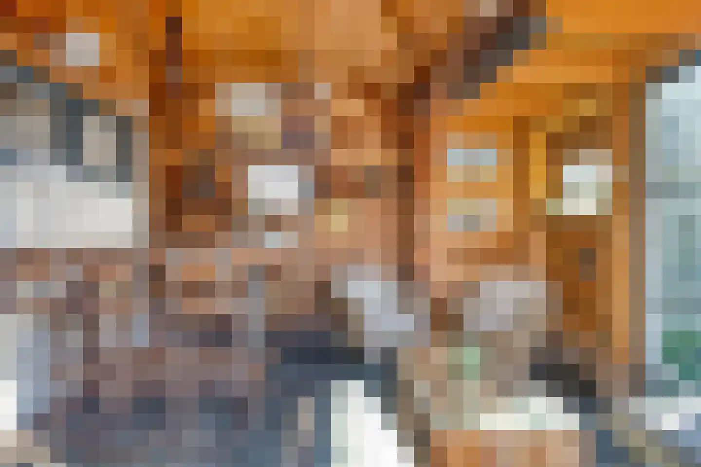 Willaerlaan 52 Scherpenzeel thumbnail 28