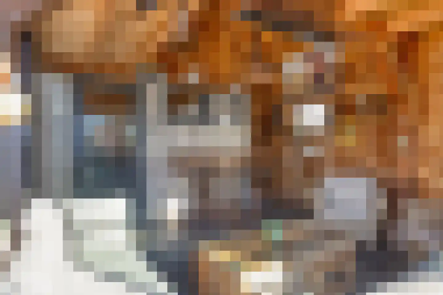 Willaerlaan 52 Scherpenzeel thumbnail 29
