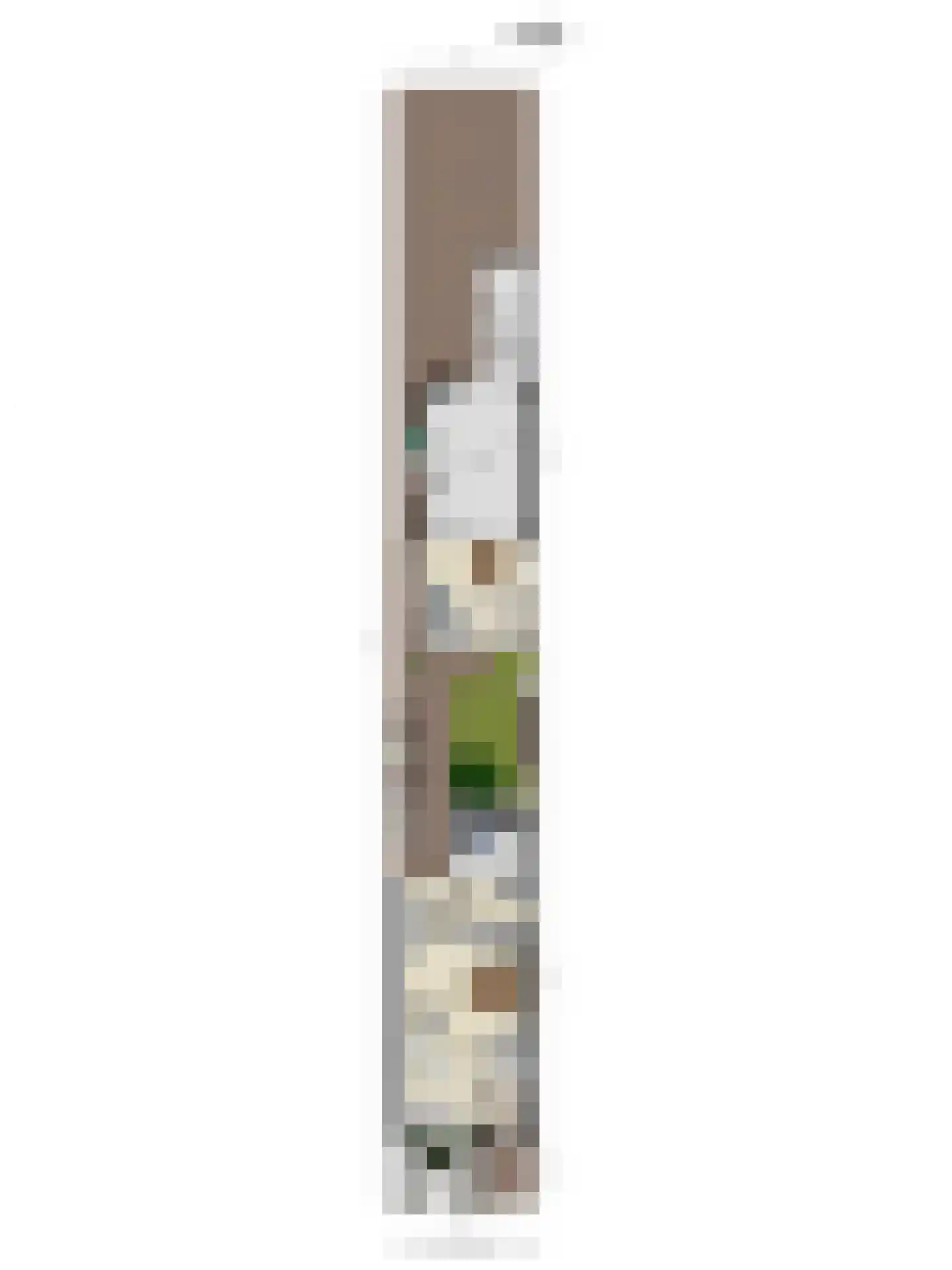 Willaerlaan 52 Scherpenzeel thumbnail 36