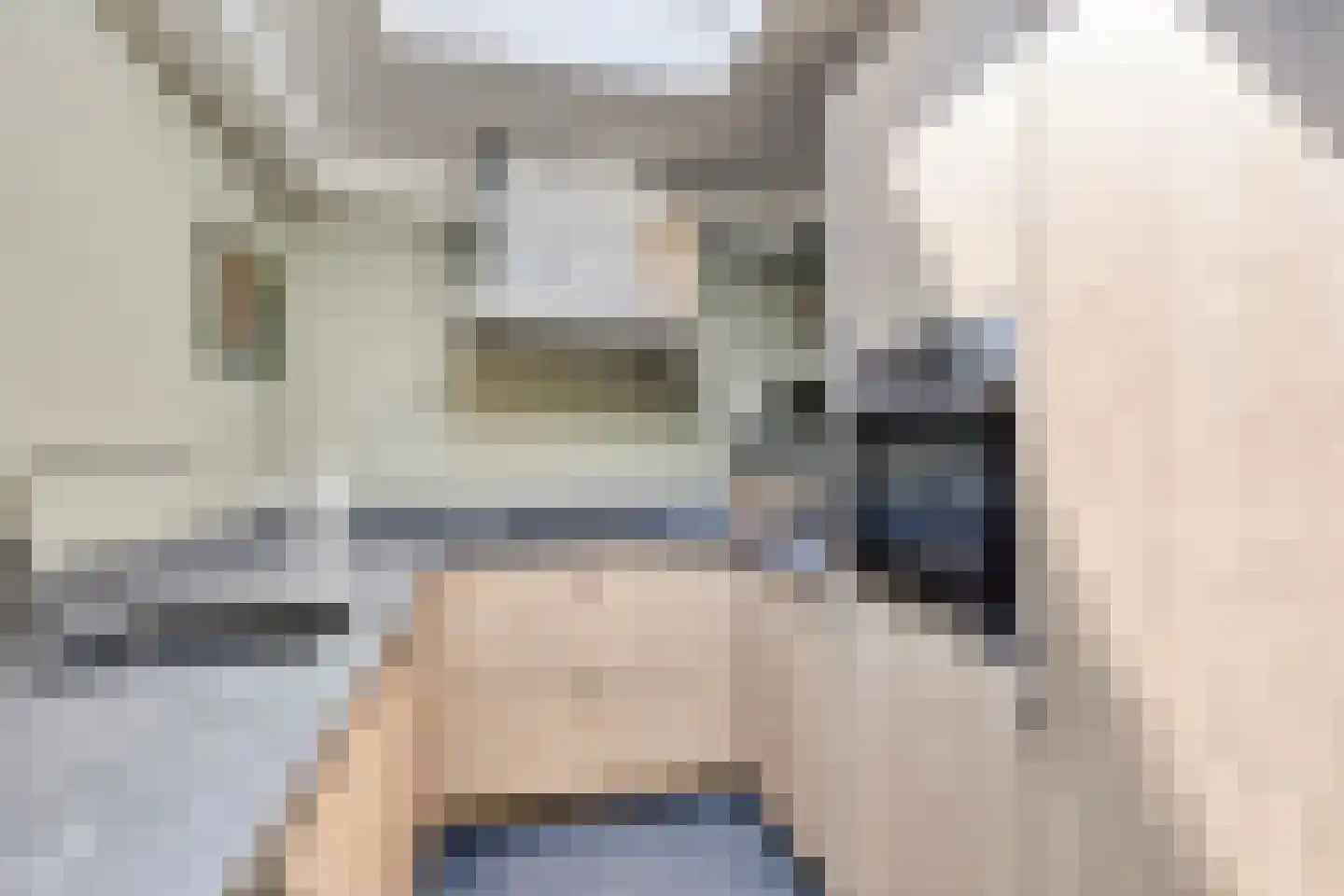 Willaerlaan 68 Scherpenzeel thumbnail 10