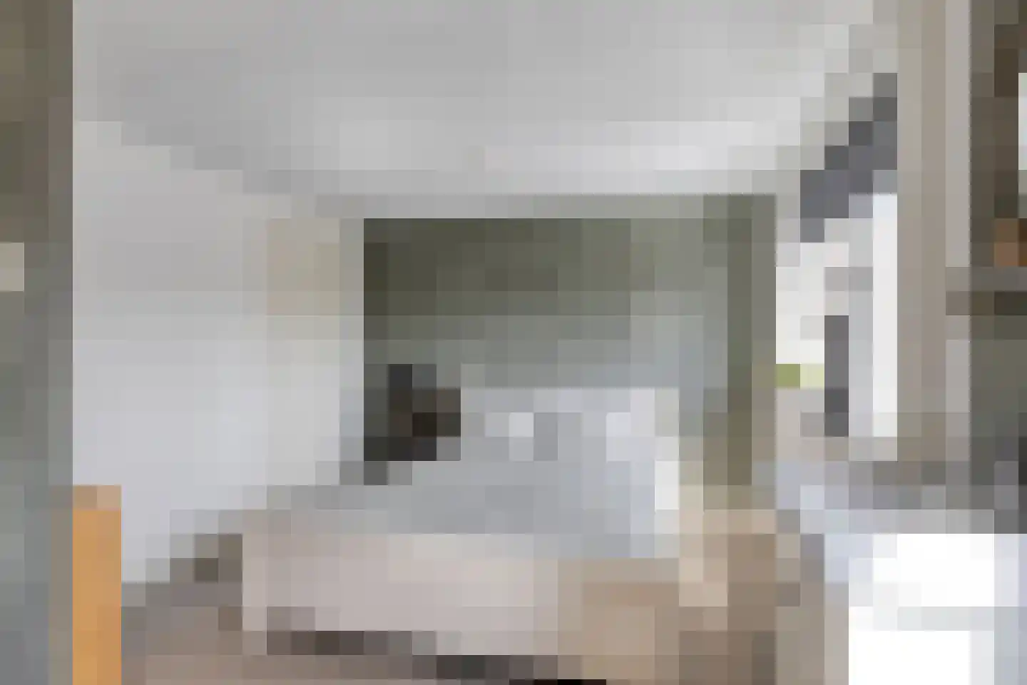 Willaerlaan 68 Scherpenzeel thumbnail 16