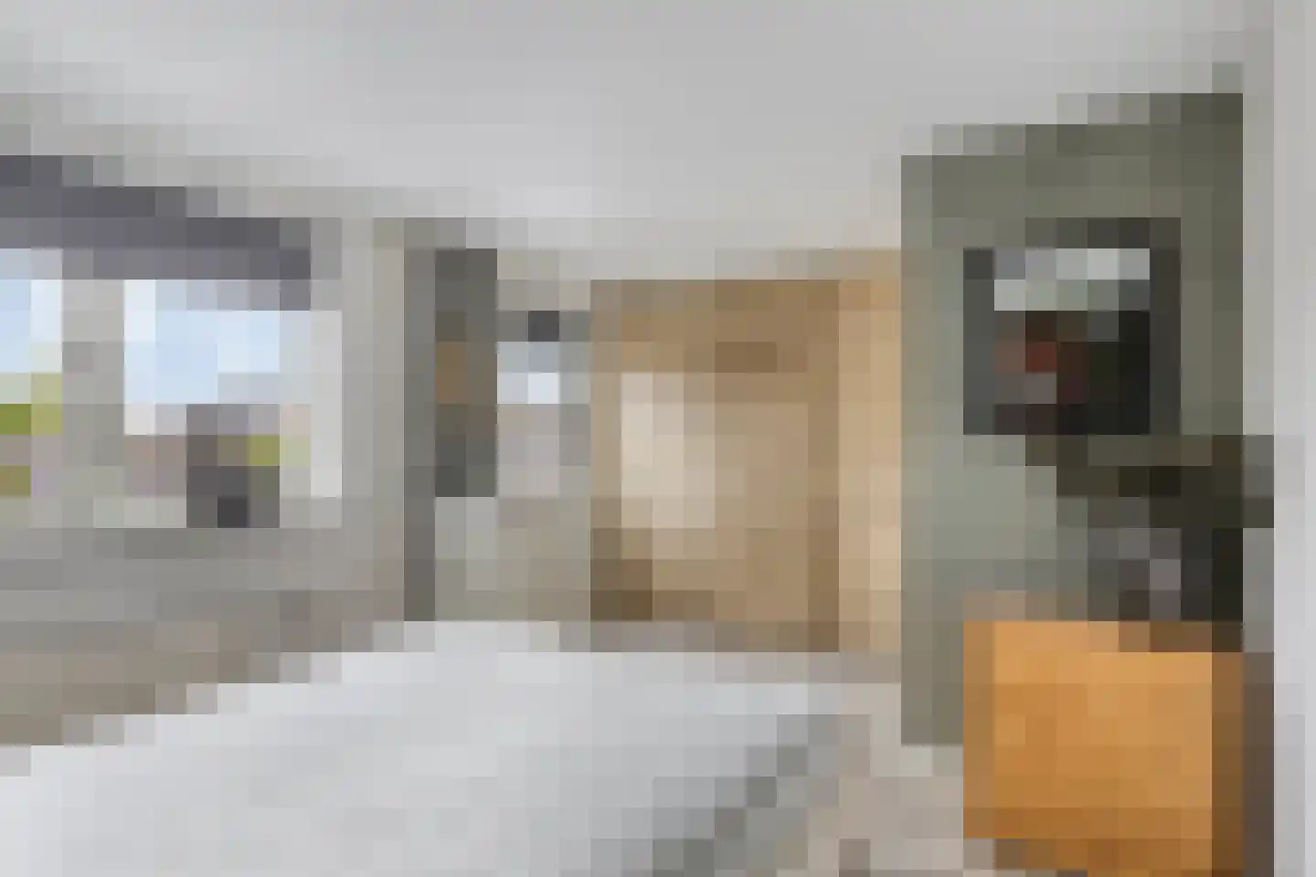 Willaerlaan 68 Scherpenzeel thumbnail 18