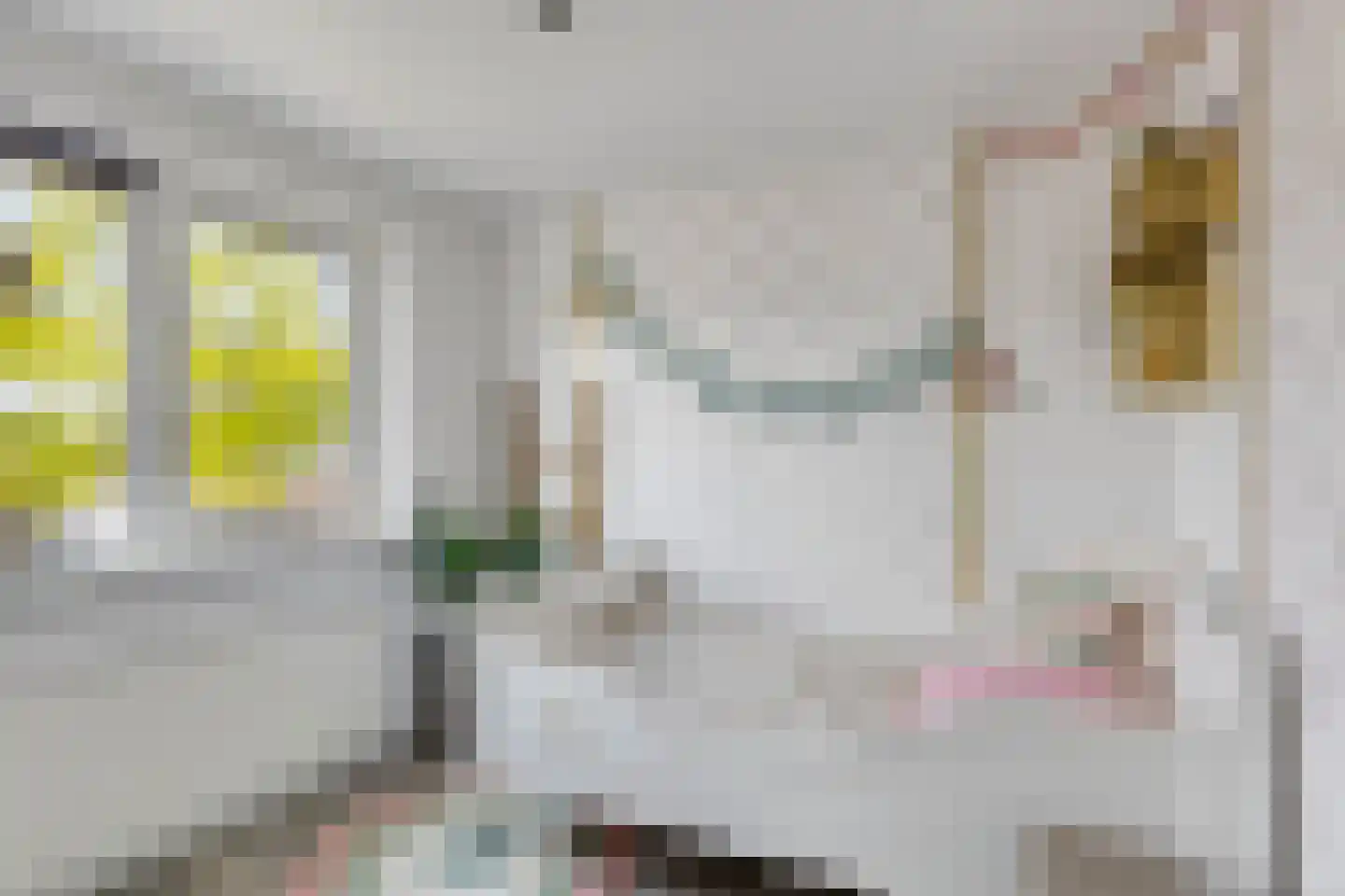 Willaerlaan 68 Scherpenzeel thumbnail 19