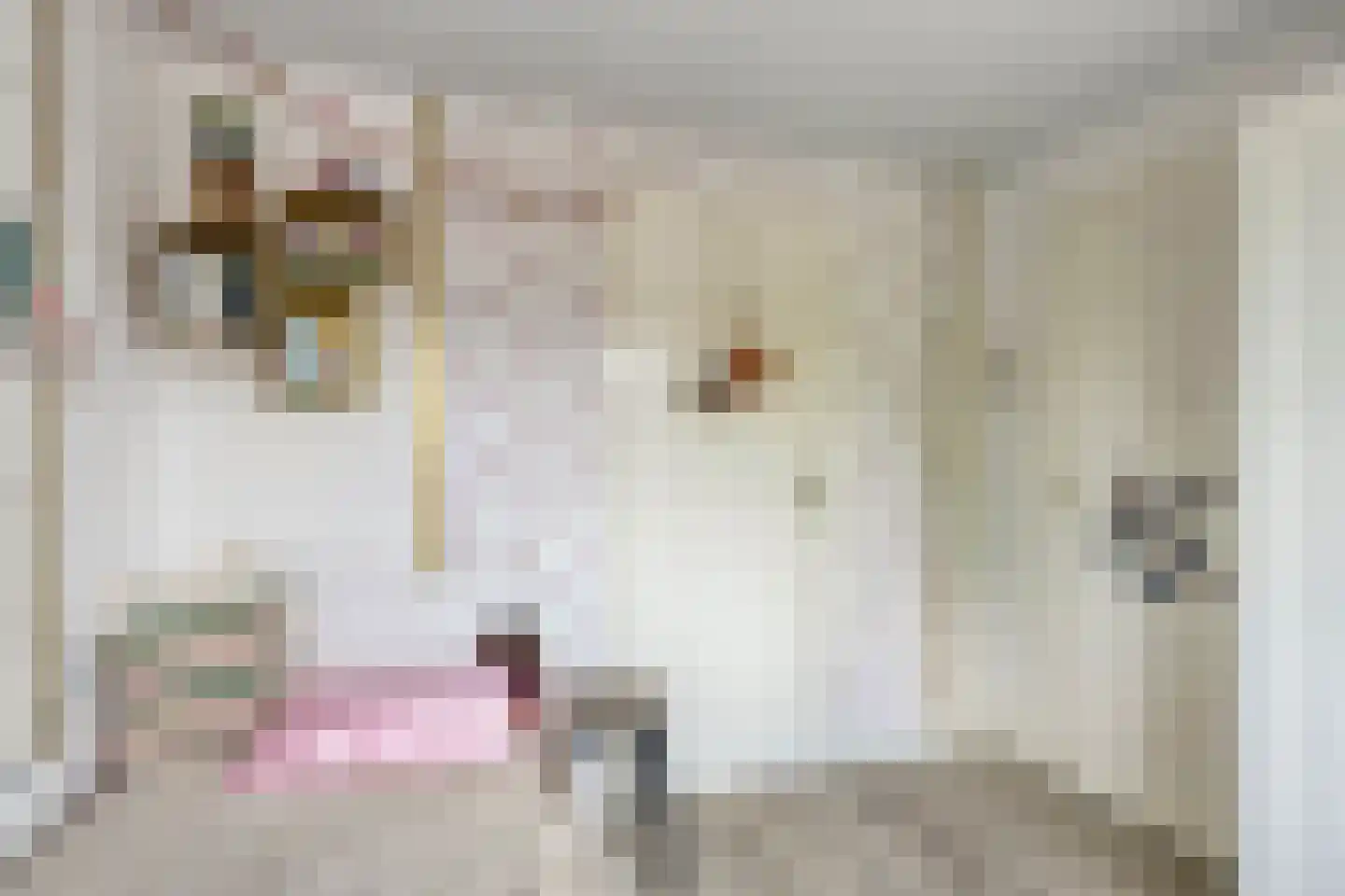 Willaerlaan 68 Scherpenzeel thumbnail 20