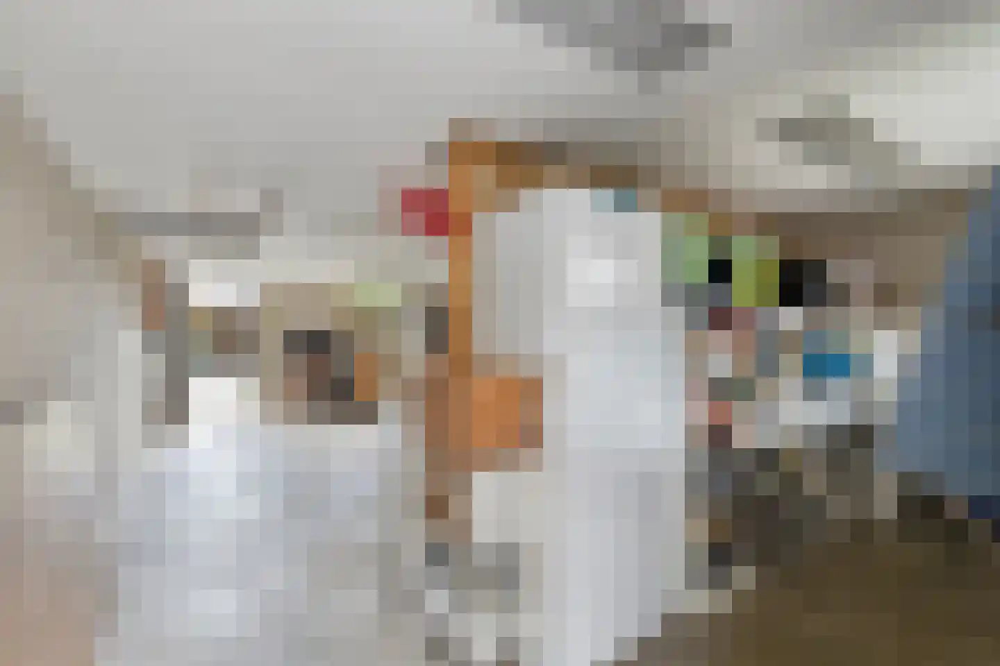 Willaerlaan 68 Scherpenzeel thumbnail 28