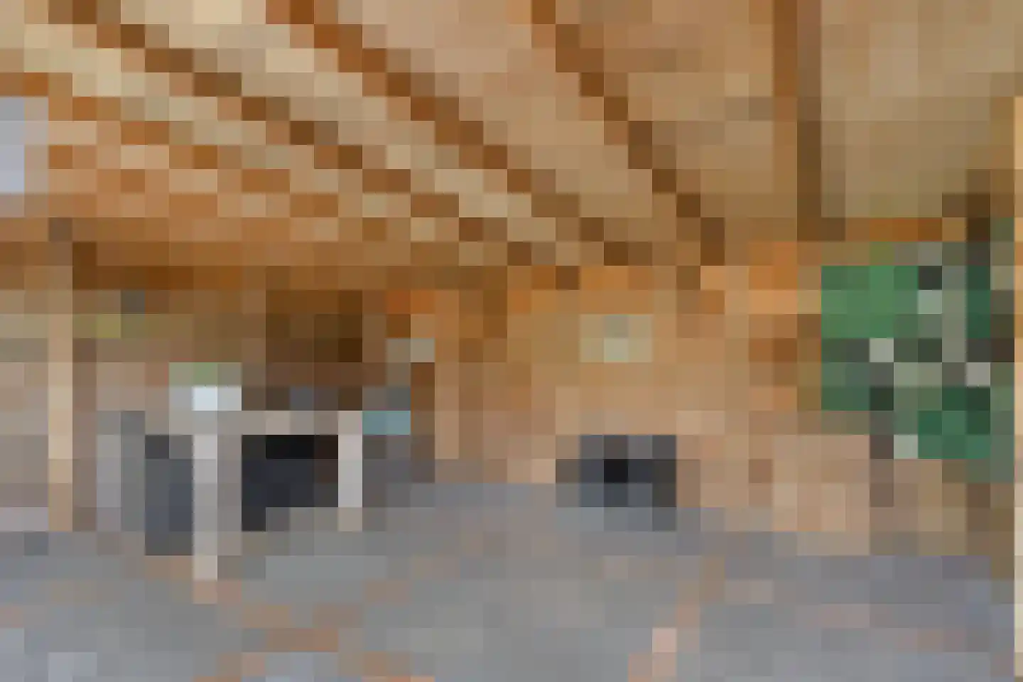Willaerlaan 68 Scherpenzeel thumbnail 32