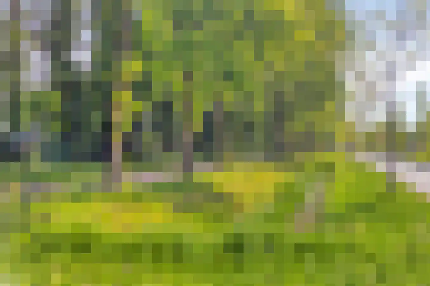 Willaerlaan 68 Scherpenzeel thumbnail 36