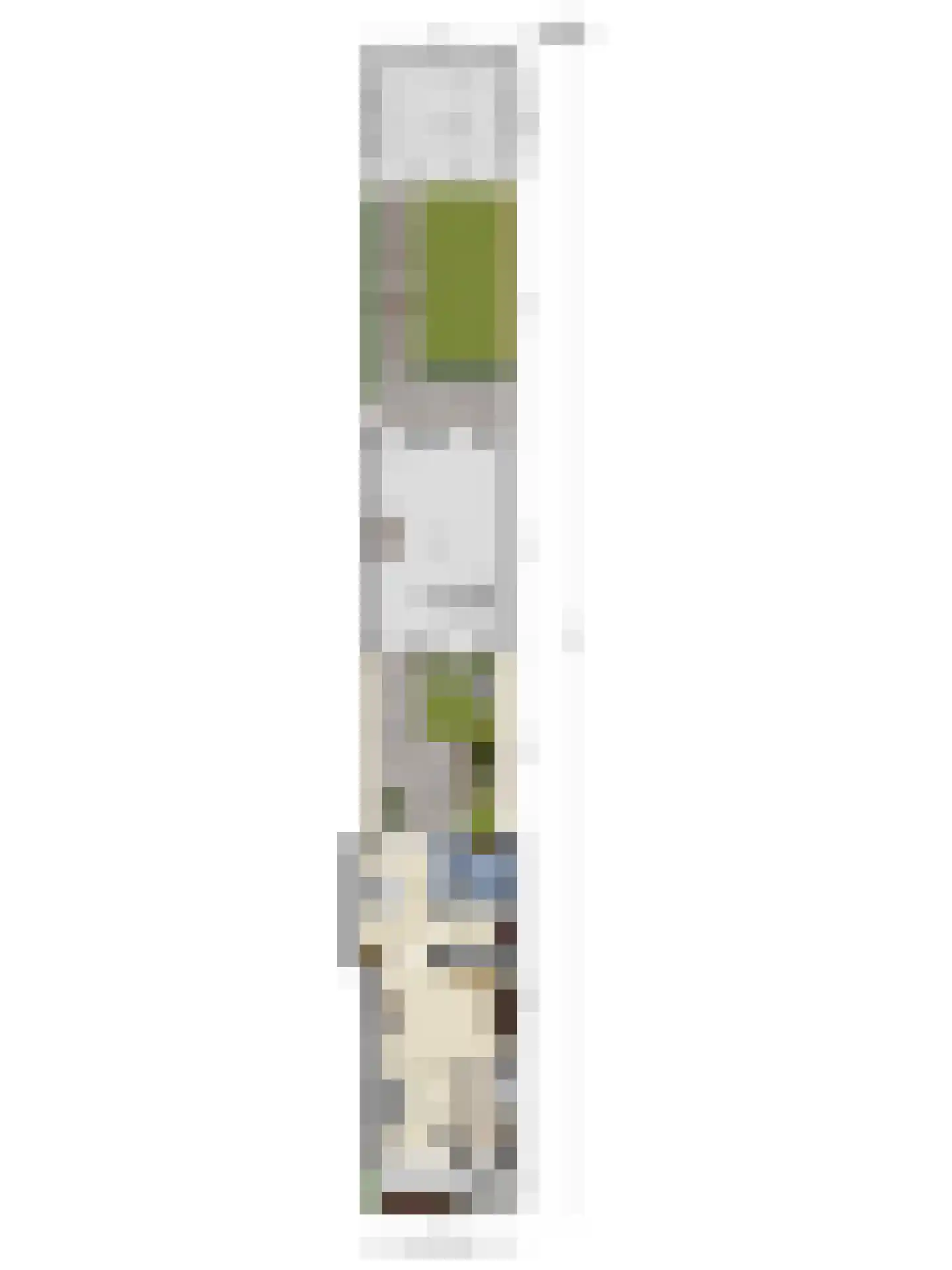 Willaerlaan 68 Scherpenzeel thumbnail 41