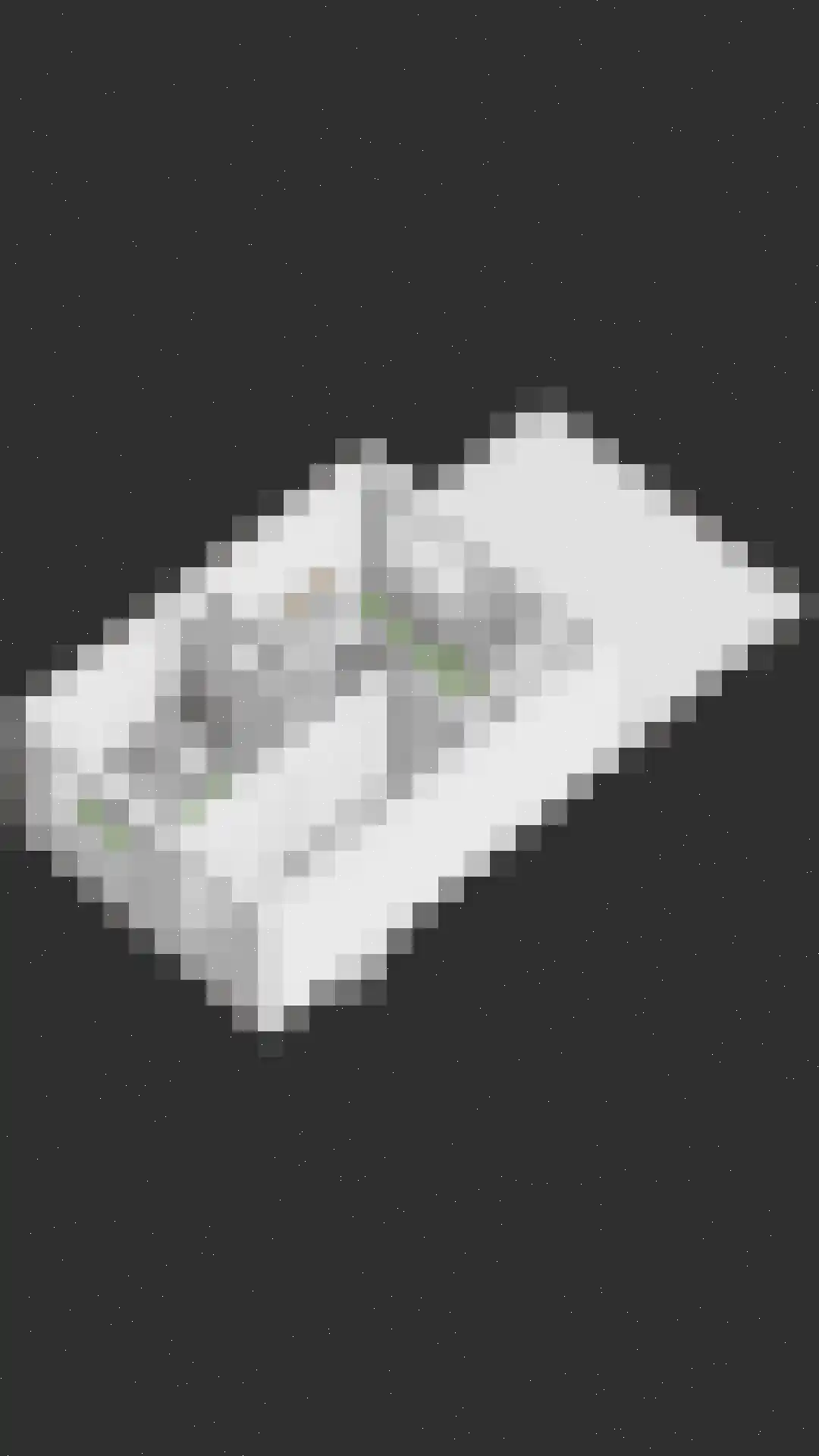 Willaerlaan 68 Scherpenzeel thumbnail 46