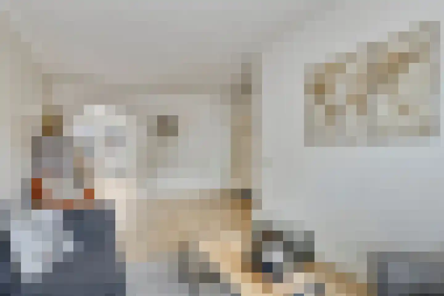 Willaerlaan 68 Scherpenzeel thumbnail 5