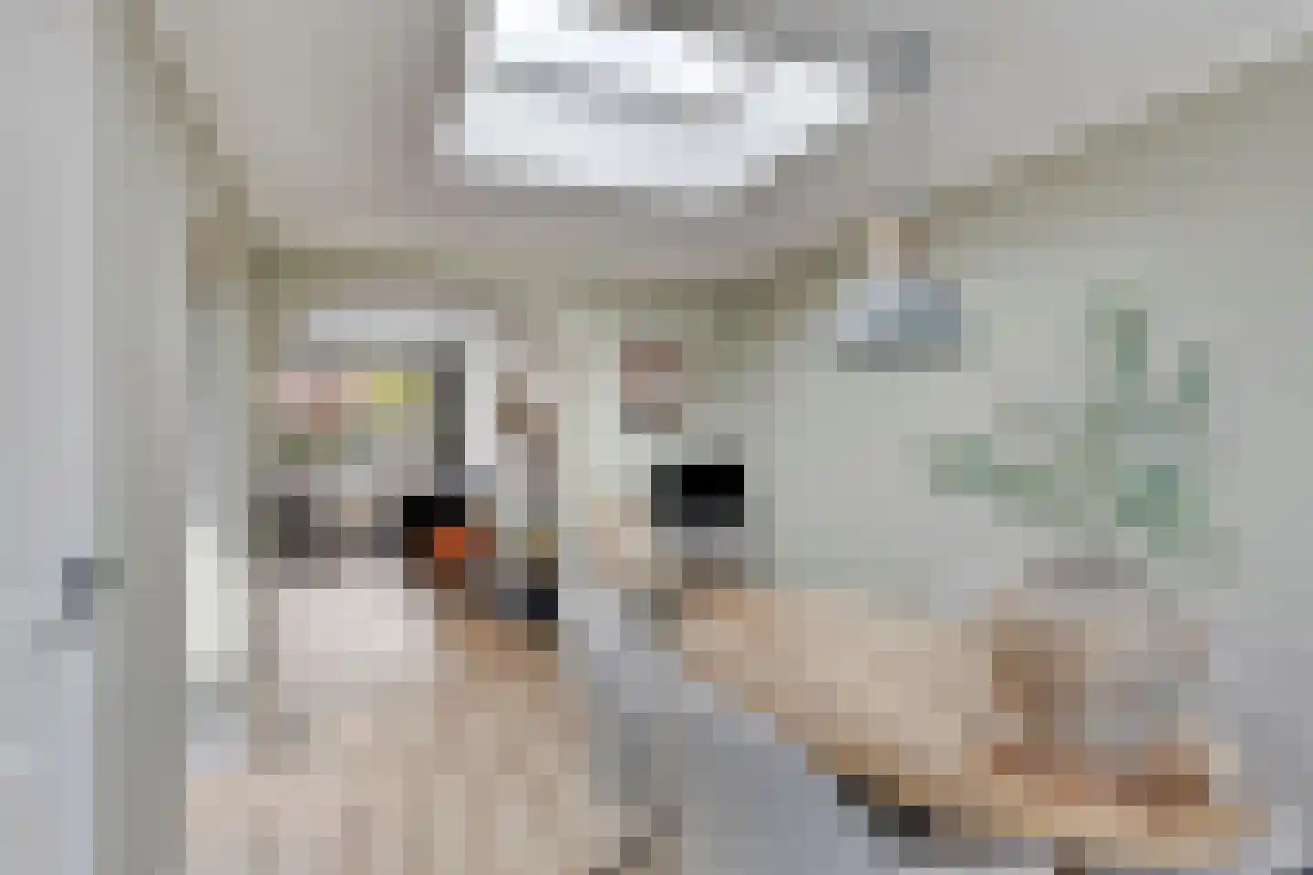 Willaerlaan 68 Scherpenzeel thumbnail 8