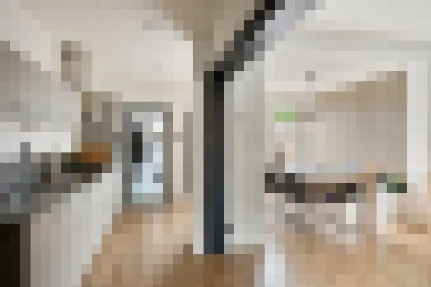 Willaerlaan 91 Scherpenzeel thumbnail 11