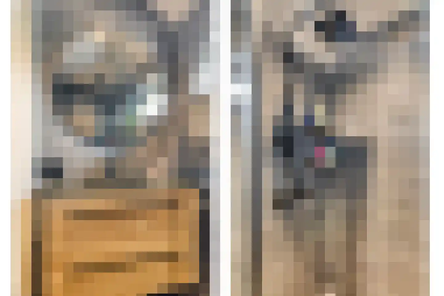 Willaerlaan 91 Scherpenzeel thumbnail 23