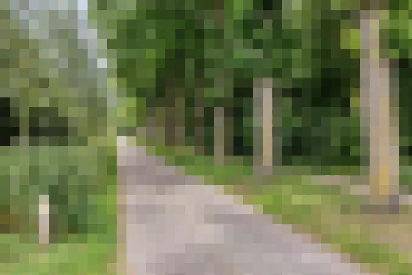 Willaerlaan 91 Scherpenzeel thumbnail 30