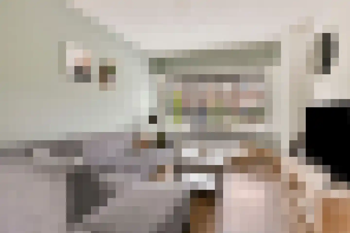 Willaerlaan 91 Scherpenzeel thumbnail 5