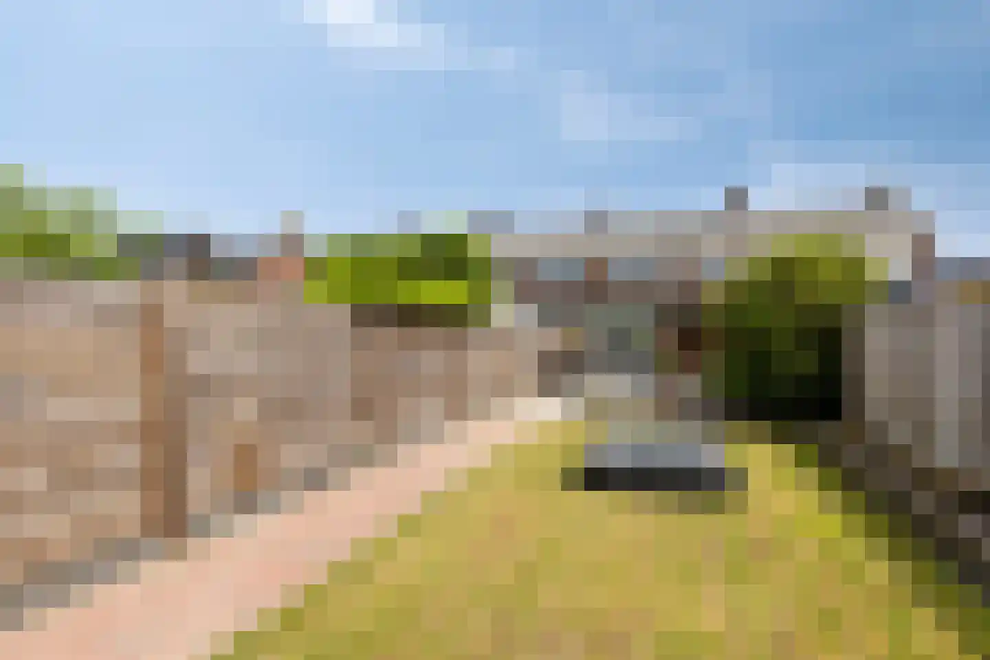Willaerlaan 91 Scherpenzeel thumbnail 6