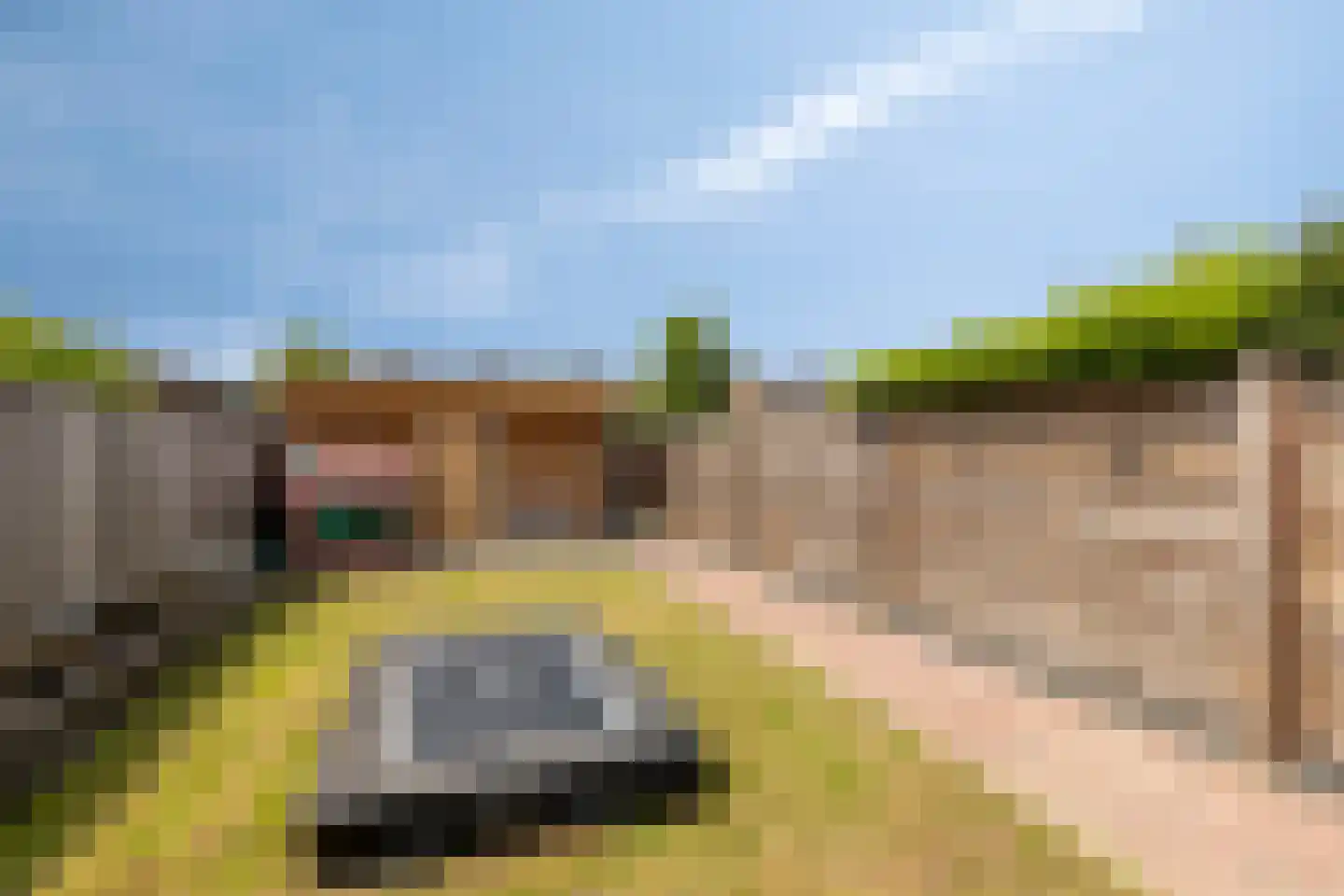 Willaerlaan 91 Scherpenzeel thumbnail 7