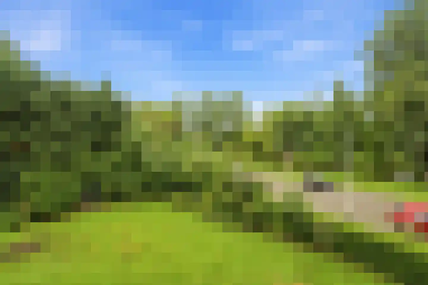 Willaertpad 2 Rotterdam thumbnail 13